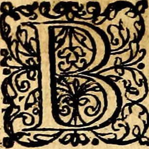 An illustration from Joachimi Camerarii Symbolorvm et emblematvm centvriæ tres. I. Ex herbis & stirpibus. II. Ex animalibus quadrupedibus. III. Ex volatilibus & insectis. Accessit noviter centvria IV. Ex aquatilibus & reptilibus. Cvm figvris æneis, 1605, leaf 787