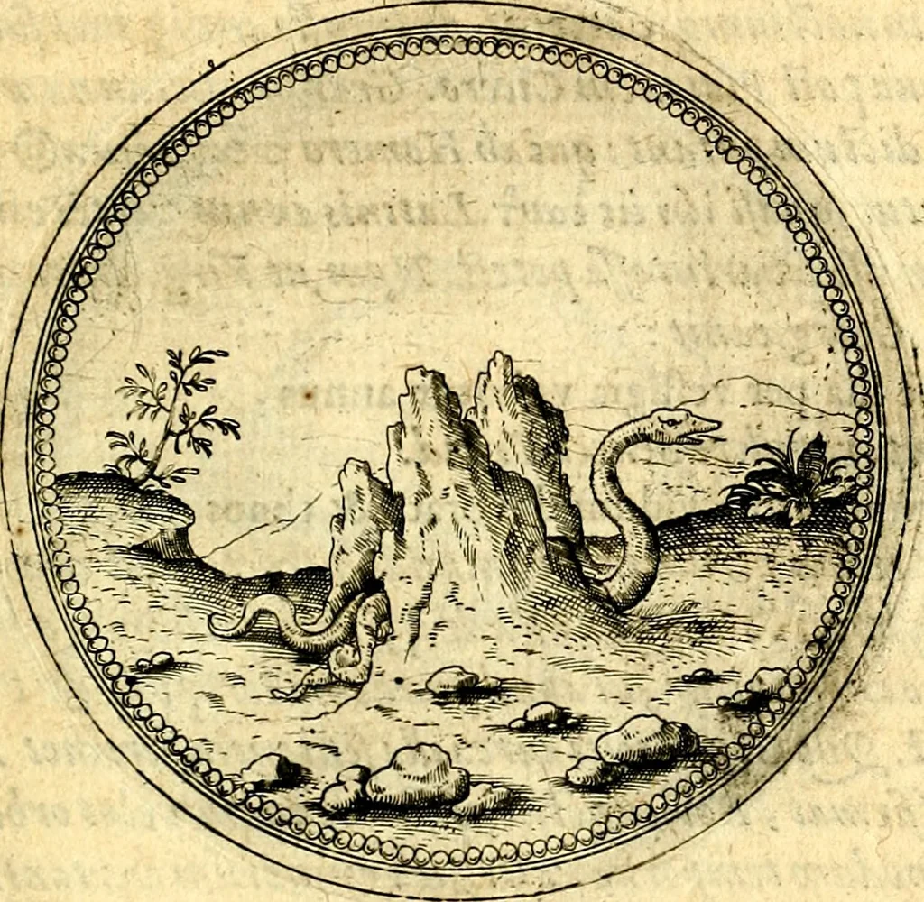 An illustration from Joachimi Camerarii Symbolorvm et emblematvm centvriæ tres. I. Ex herbis & stirpibus. II. Ex animalibus quadrupedibus. III. Ex volatilibus & insectis. Accessit noviter centvria IV. Ex aquatilibus & reptilibus. Cvm figvris æneis, 1605, leaf 794