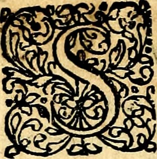 An illustration from Joachimi Camerarii Symbolorvm et emblematvm centvriæ tres. I. Ex herbis & stirpibus. II. Ex animalibus quadrupedibus. III. Ex volatilibus & insectis. Accessit noviter centvria IV. Ex aquatilibus & reptilibus. Cvm figvris æneis, 1605, leaf 795