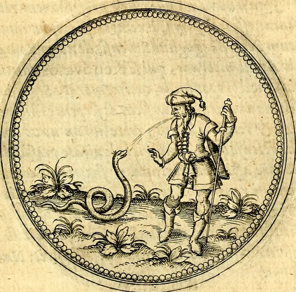An illustration from Joachimi Camerarii Symbolorvm et emblematvm centvriæ tres. I. Ex herbis & stirpibus. II. Ex animalibus quadrupedibus. III. Ex volatilibus & insectis. Accessit noviter centvria IV. Ex aquatilibus & reptilibus. Cvm figvris æneis, 1605, leaf 802