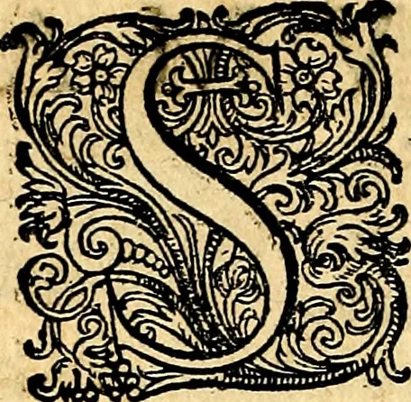 An illustration from Joachimi Camerarii Symbolorvm et emblematvm centvriæ tres. I. Ex herbis & stirpibus. II. Ex animalibus quadrupedibus. III. Ex volatilibus & insectis. Accessit noviter centvria IV. Ex aquatilibus & reptilibus. Cvm figvris æneis, 1605, leaf 805