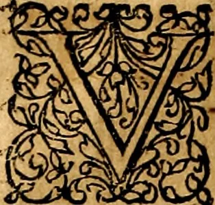 An illustration from Joachimi Camerarii Symbolorvm et emblematvm centvriæ tres. I. Ex herbis & stirpibus. II. Ex animalibus quadrupedibus. III. Ex volatilibus & insectis. Accessit noviter centvria IV. Ex aquatilibus & reptilibus. Cvm figvris æneis, 1605, leaf 81