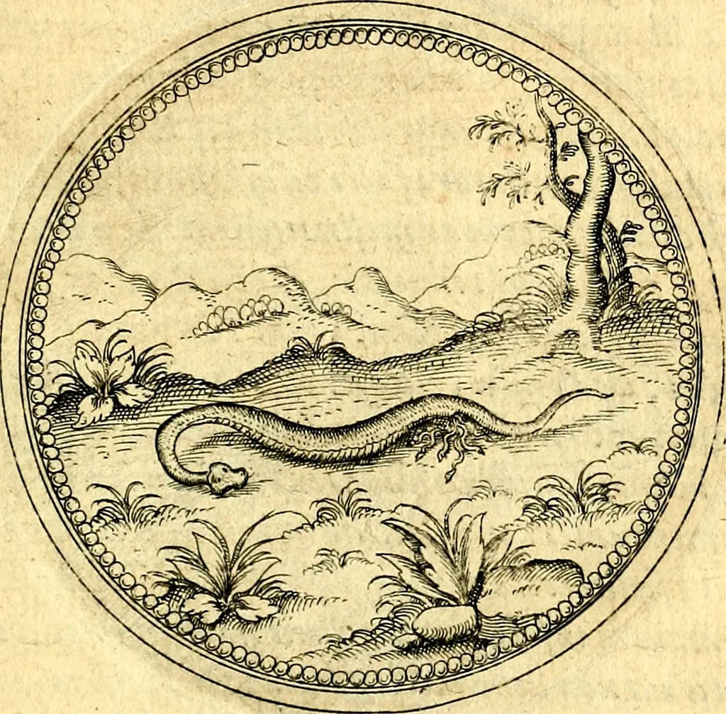 An illustration from Joachimi Camerarii Symbolorvm et emblematvm centvriæ tres. I. Ex herbis & stirpibus. II. Ex animalibus quadrupedibus. III. Ex volatilibus & insectis. Accessit noviter centvria IV. Ex aquatilibus & reptilibus. Cvm figvris æneis, 1605, leaf 812