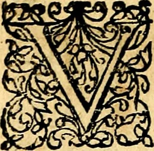 An illustration from Joachimi Camerarii Symbolorvm et emblematvm centvriæ tres. I. Ex herbis & stirpibus. II. Ex animalibus quadrupedibus. III. Ex volatilibus & insectis. Accessit noviter centvria IV. Ex aquatilibus & reptilibus. Cvm figvris æneis, 1605, leaf 819