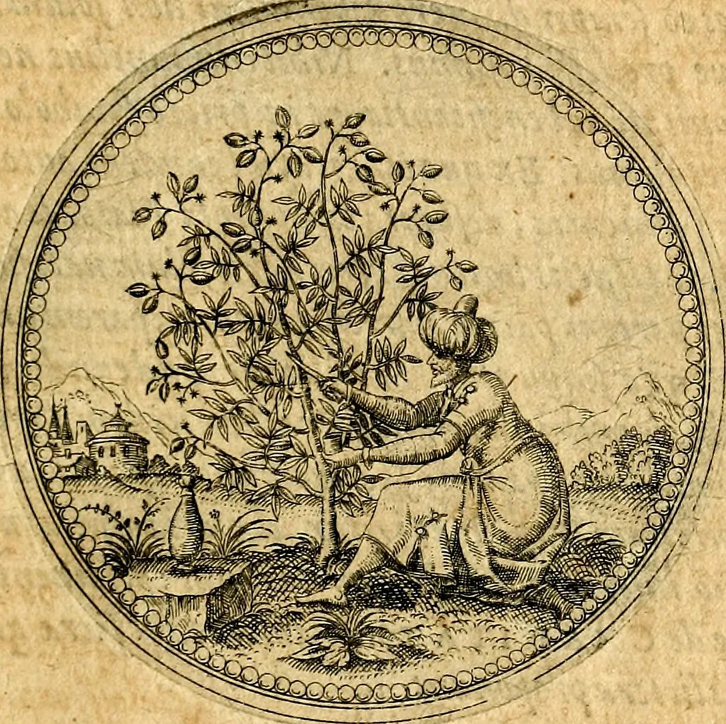 An illustration from Joachimi Camerarii Symbolorvm et emblematvm centvriæ tres. I. Ex herbis & stirpibus. II. Ex animalibus quadrupedibus. III. Ex volatilibus & insectis. Accessit noviter centvria IV. Ex aquatilibus & reptilibus. Cvm figvris æneis, 1605, leaf 86