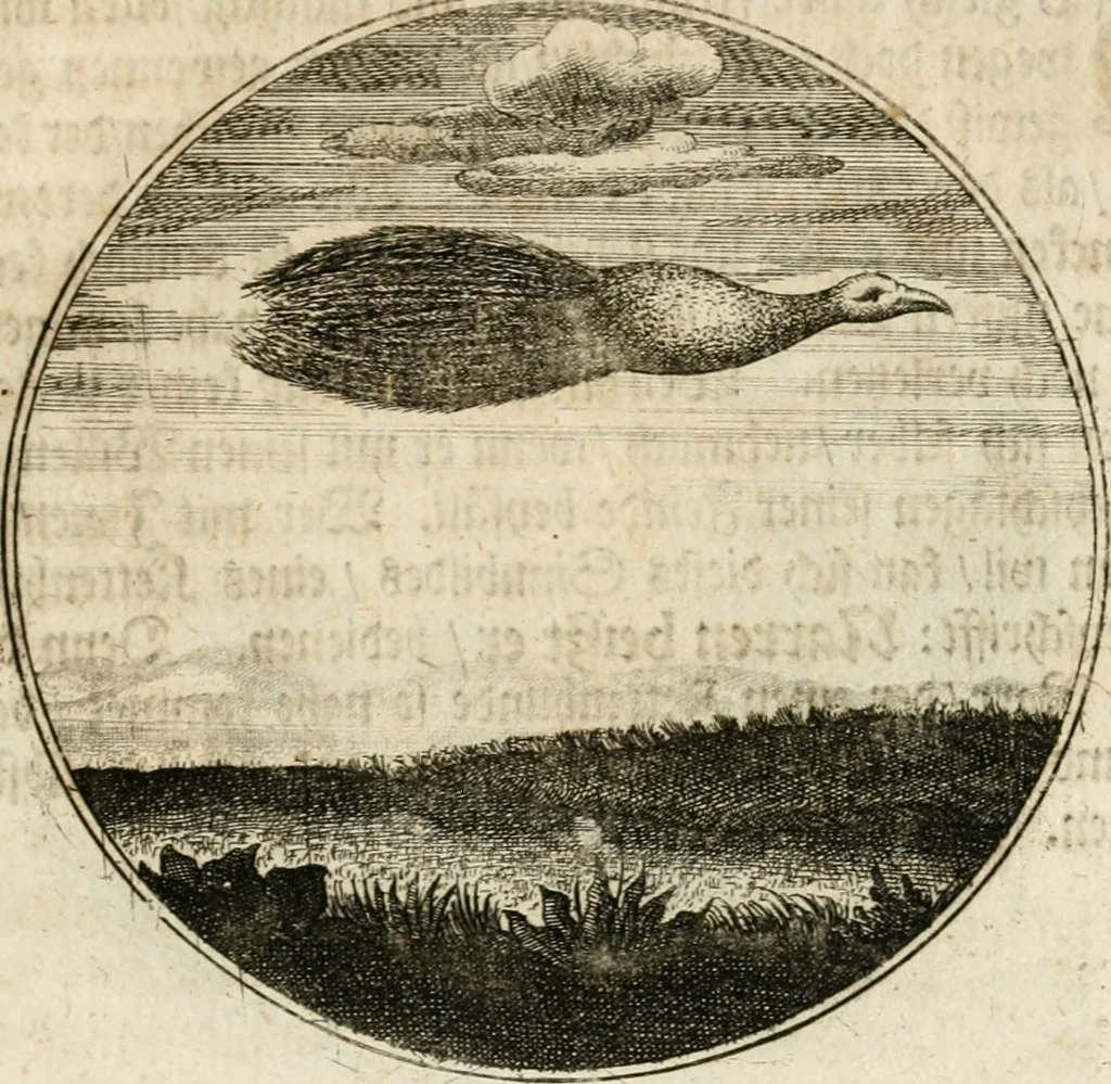 An illustration from Joannes de Boria Moralische Sinn-Bilder, 1698, leaf 110