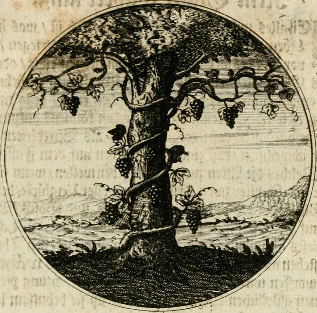 An illustration from Joannes de Boria Moralische Sinn-Bilder, 1698, leaf 126
