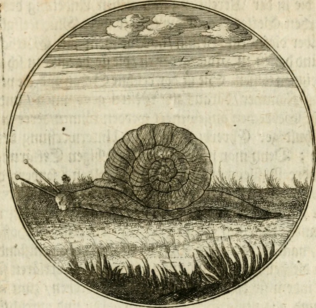 An illustration from Joannes de Boria Moralische Sinn-Bilder, 1698, leaf 132