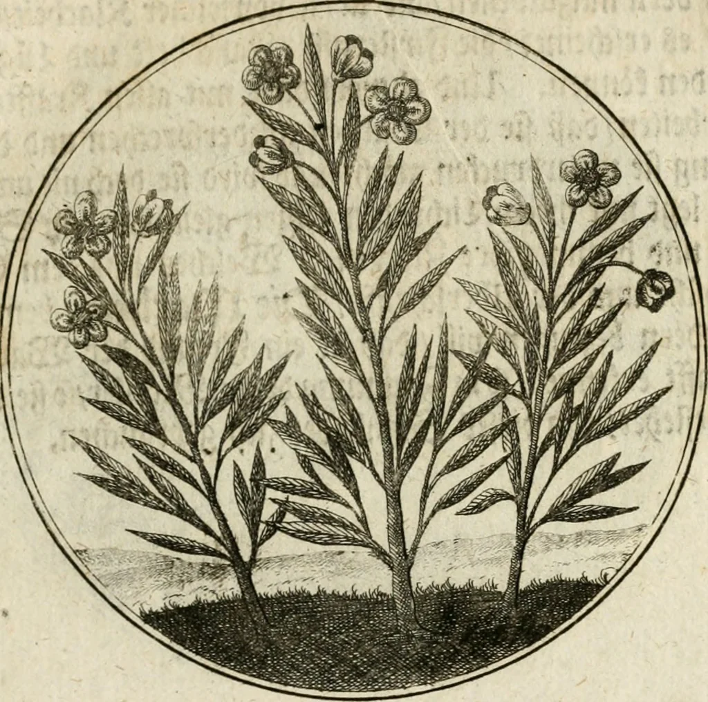 An illustration from Joannes de Boria Moralische Sinn-Bilder, 1698, leaf 134