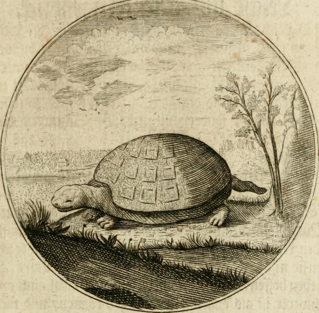 An illustration from Joannes de Boria Moralische Sinn-Bilder, 1698, leaf 16