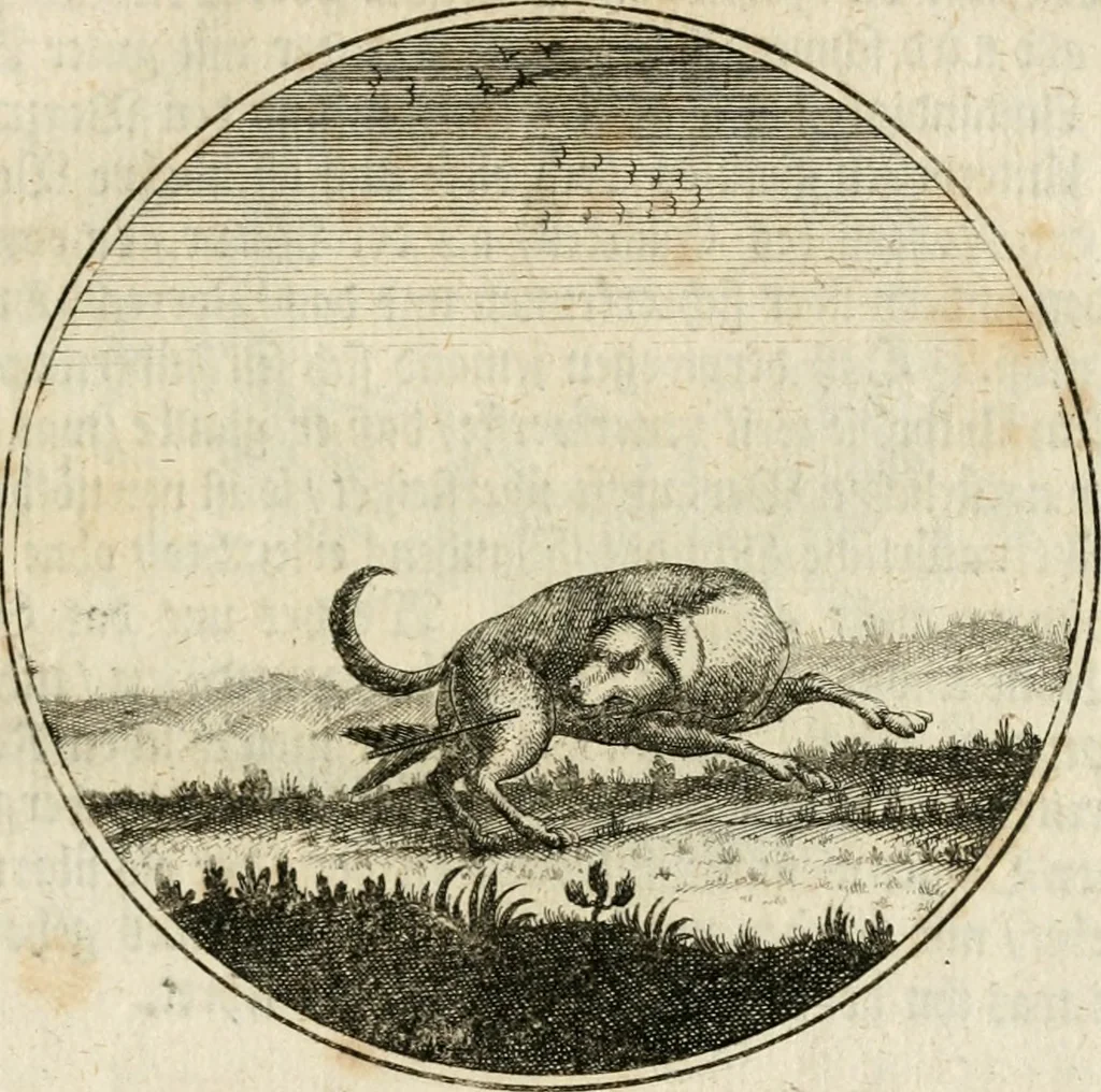 An illustration from Joannes de Boria Moralische Sinn-Bilder, 1698, leaf 166