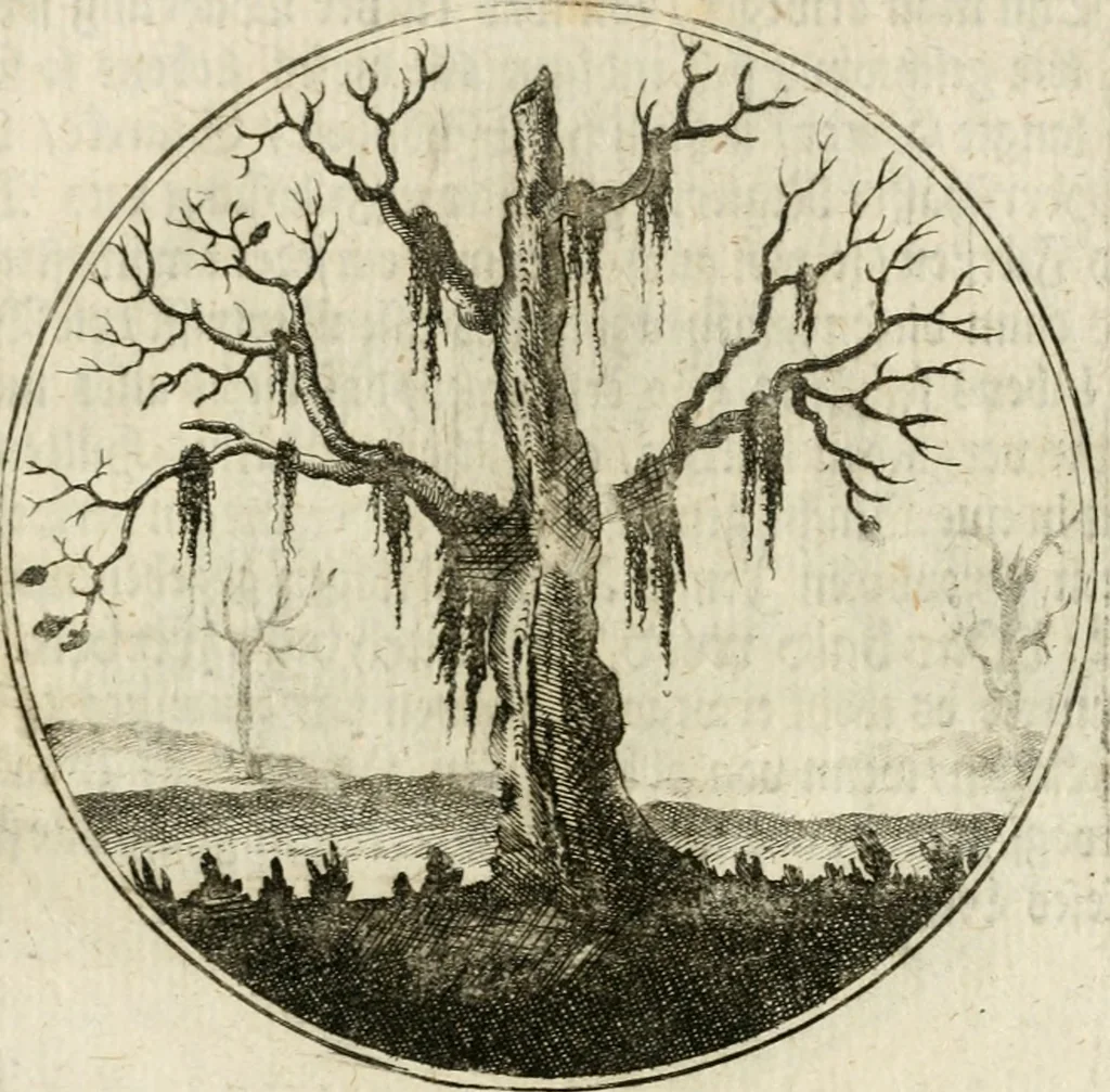 An illustration from Joannes de Boria Moralische Sinn-Bilder, 1698, leaf 170