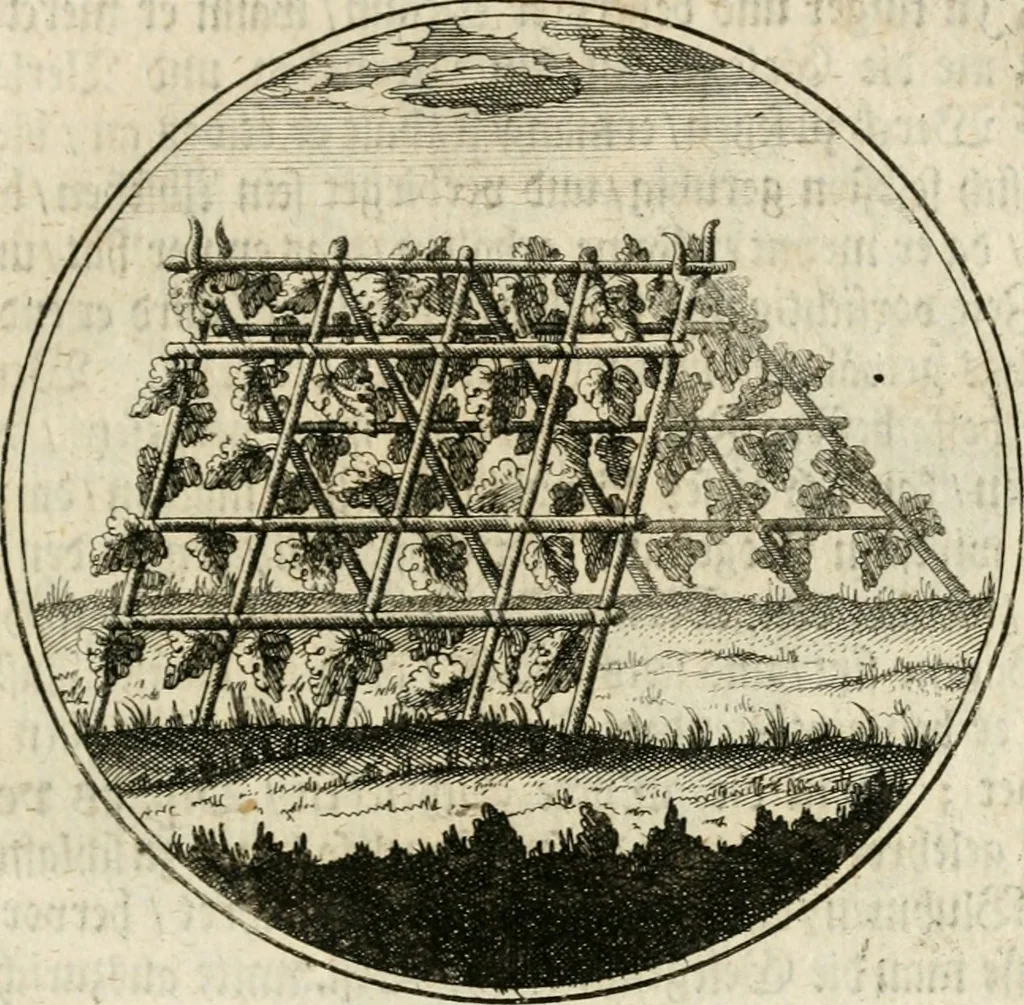 An illustration from Joannes de Boria Moralische Sinn-Bilder, 1698, leaf 172