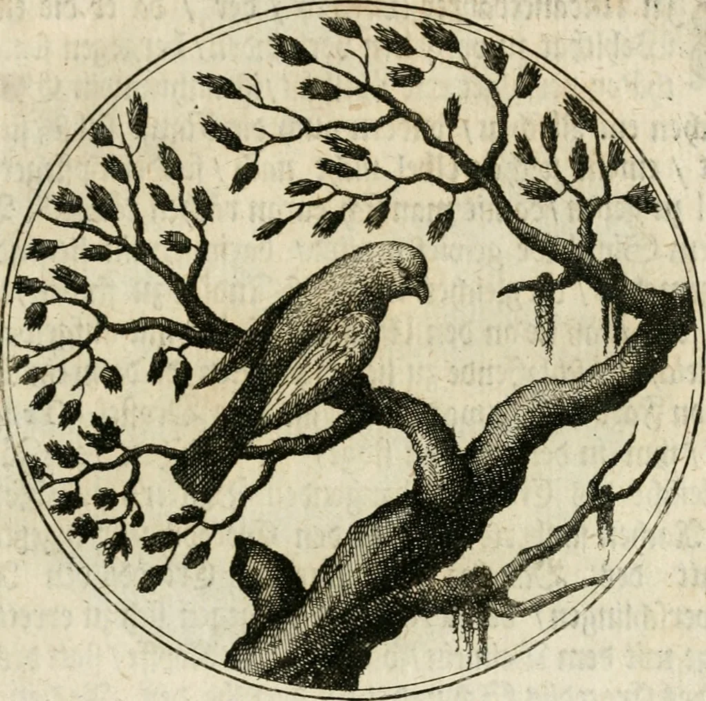 An illustration from Joannes de Boria Moralische Sinn-Bilder, 1698, leaf 174