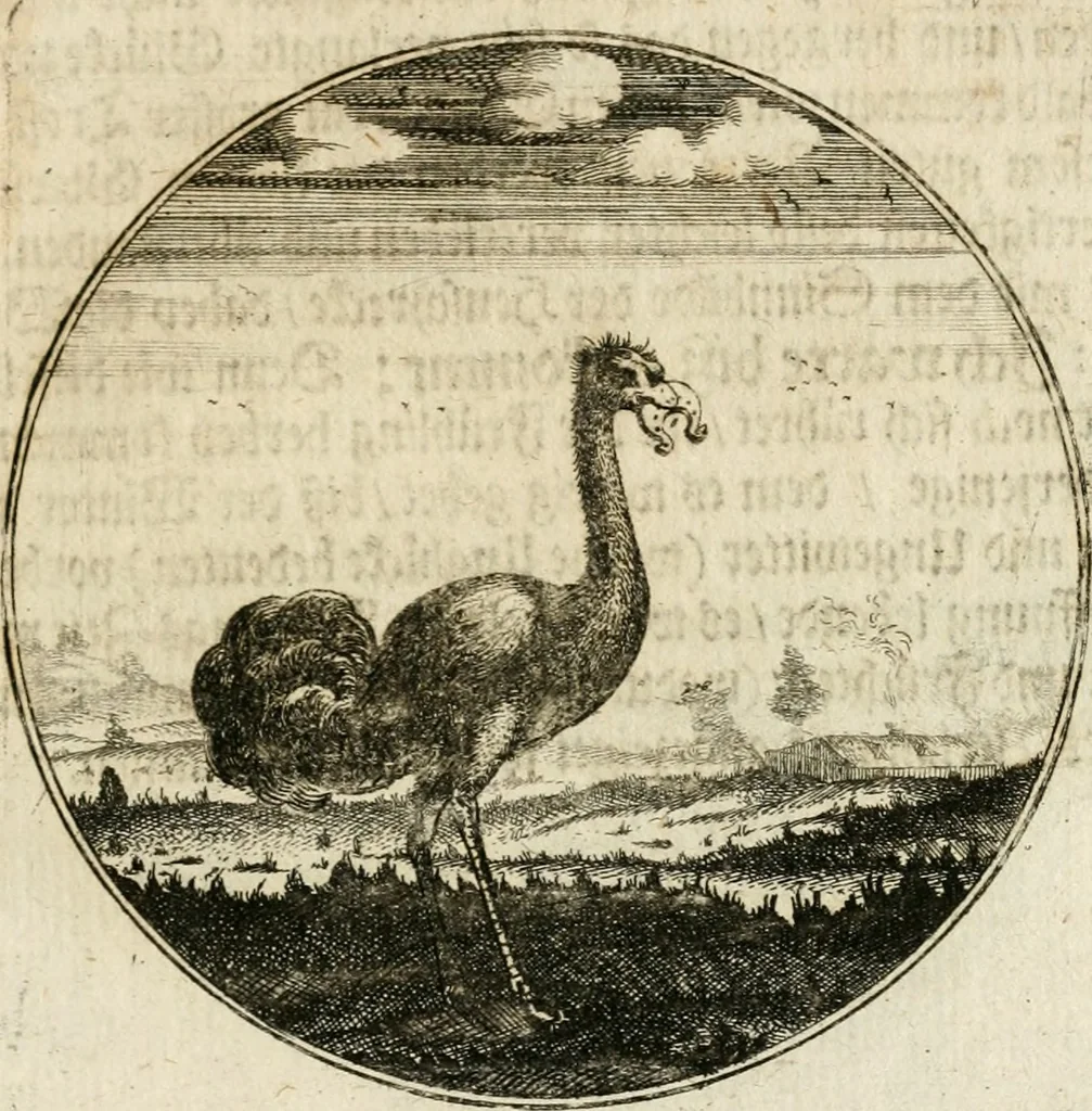 An illustration from Joannes de Boria Moralische Sinn-Bilder, 1698, leaf 190