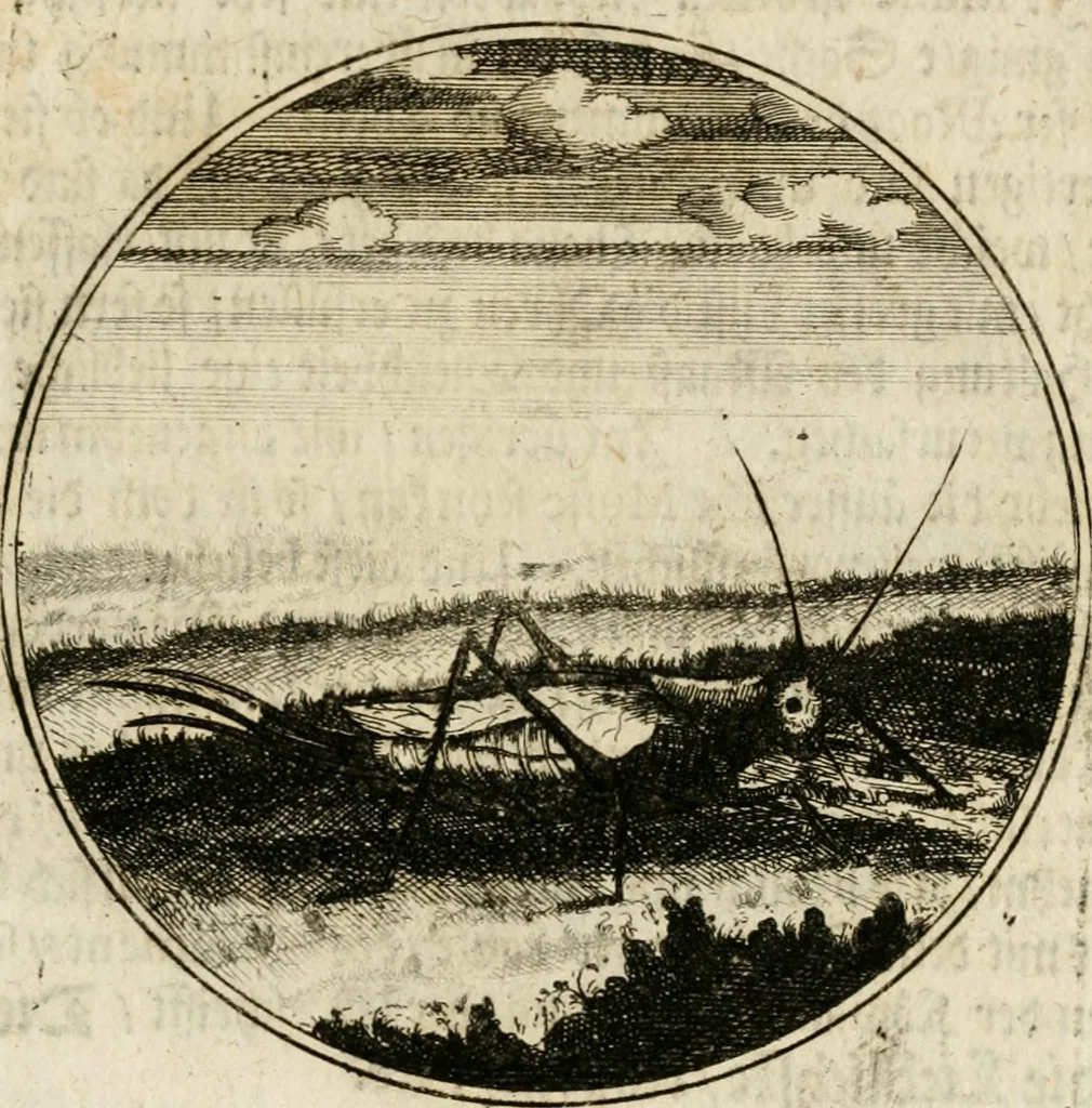 An illustration from Joannes de Boria Moralische Sinn-Bilder, 1698, leaf 192