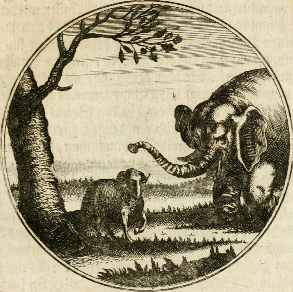 An illustration from Joannes de Boria Moralische Sinn-Bilder, 1698, leaf 198