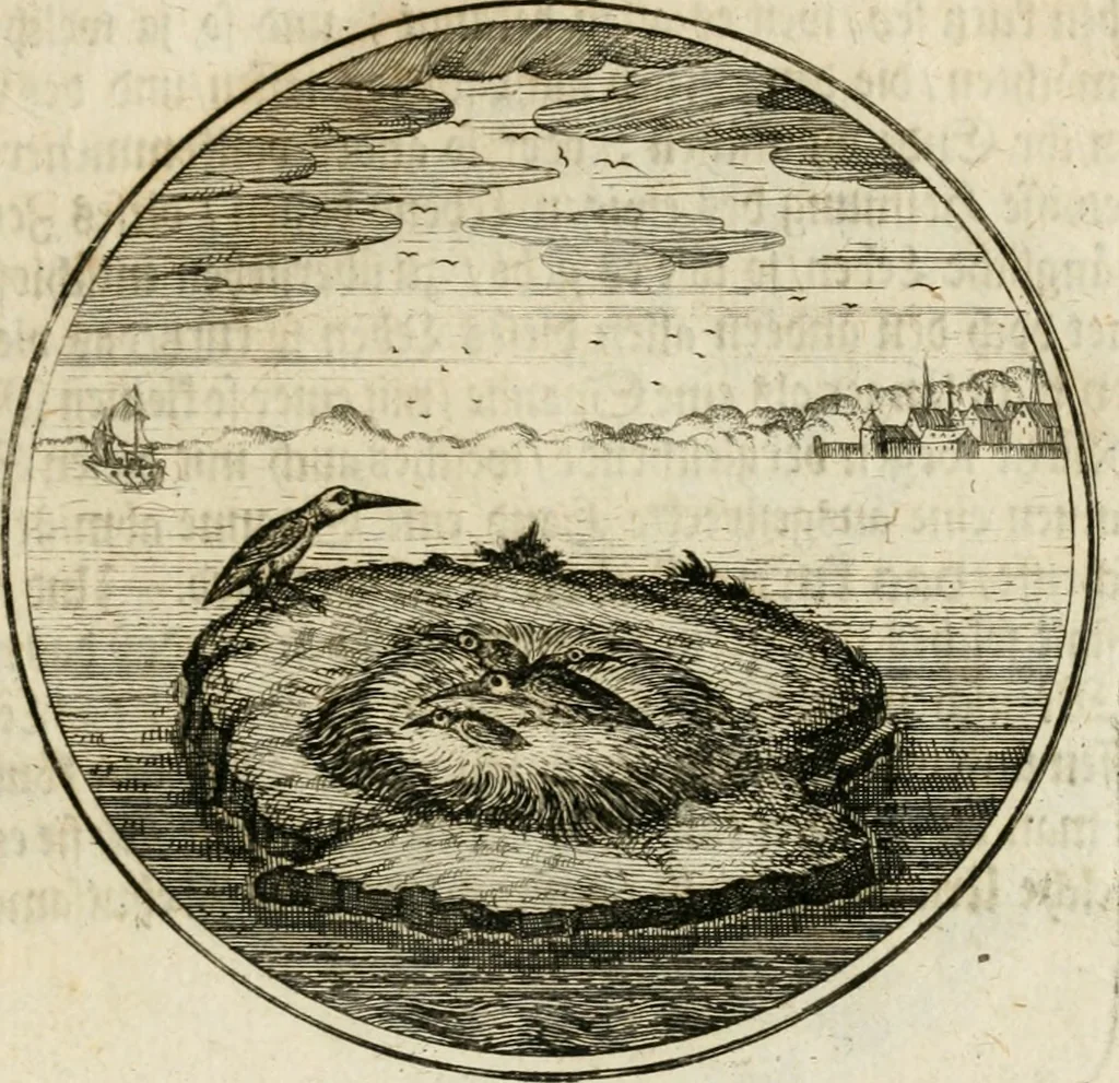 An illustration from Joannes de Boria Moralische Sinn-Bilder, 1698, leaf 48