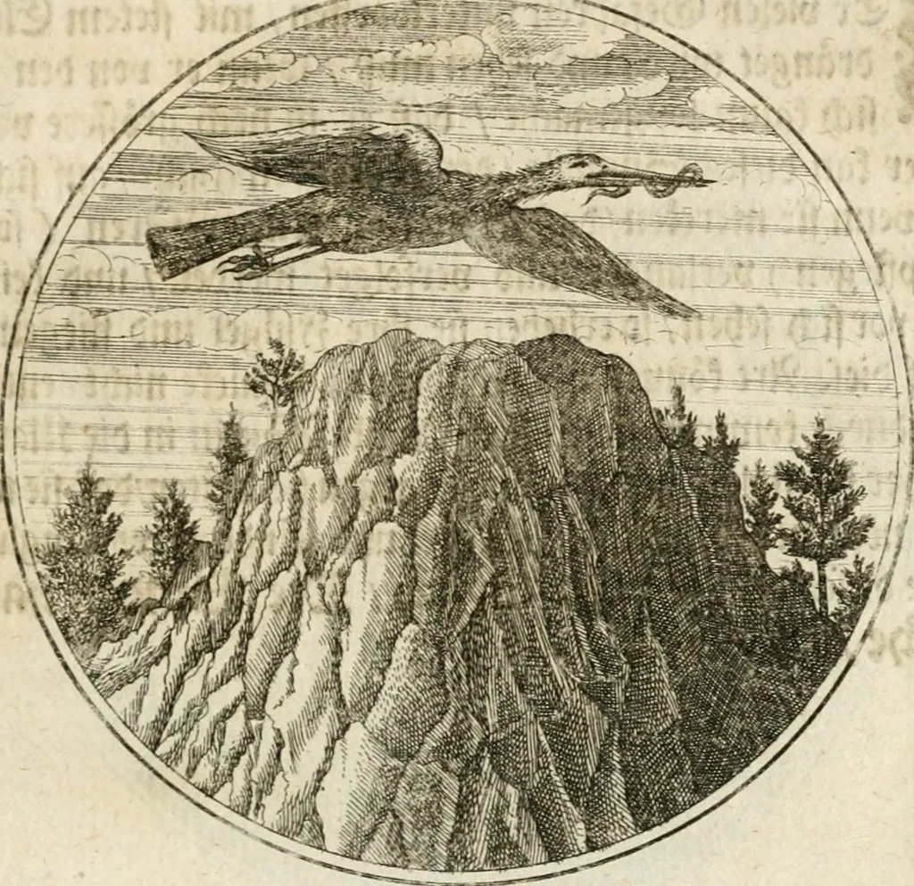 An illustration from Joannes de Boria Moralische Sinn-Bilder, 1698, leaf 52