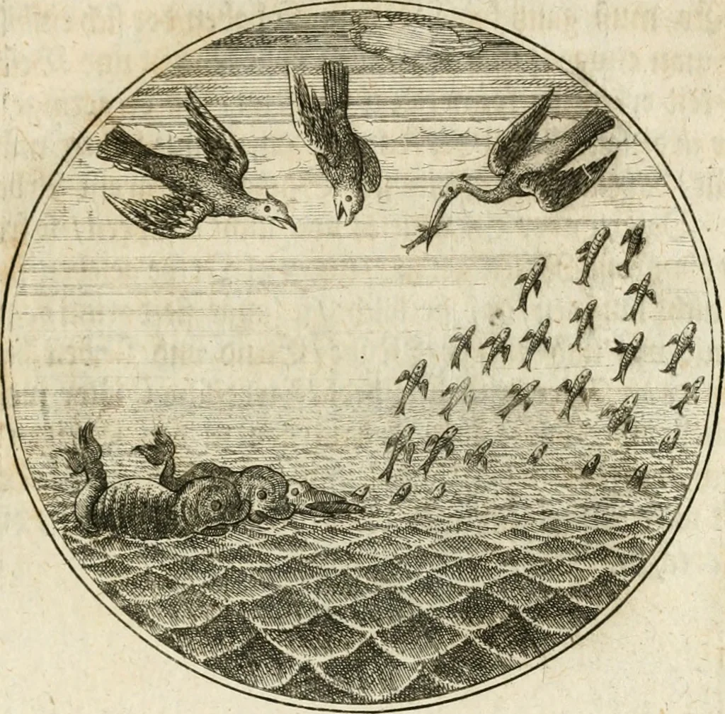 An illustration from Joannes de Boria Moralische Sinn-Bilder, 1698, leaf 54