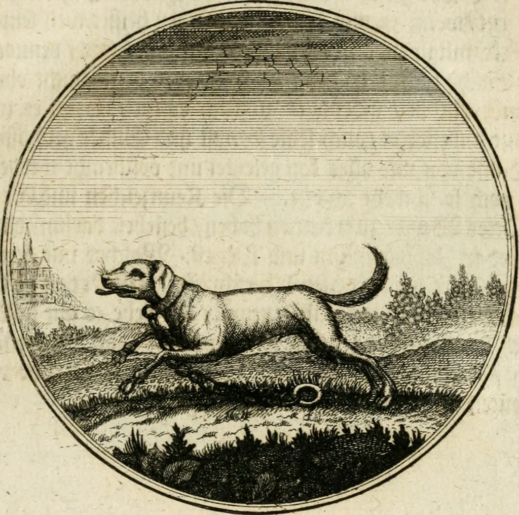 An illustration from Joannes de Boria Moralische Sinn-Bilder, 1698, leaf 74