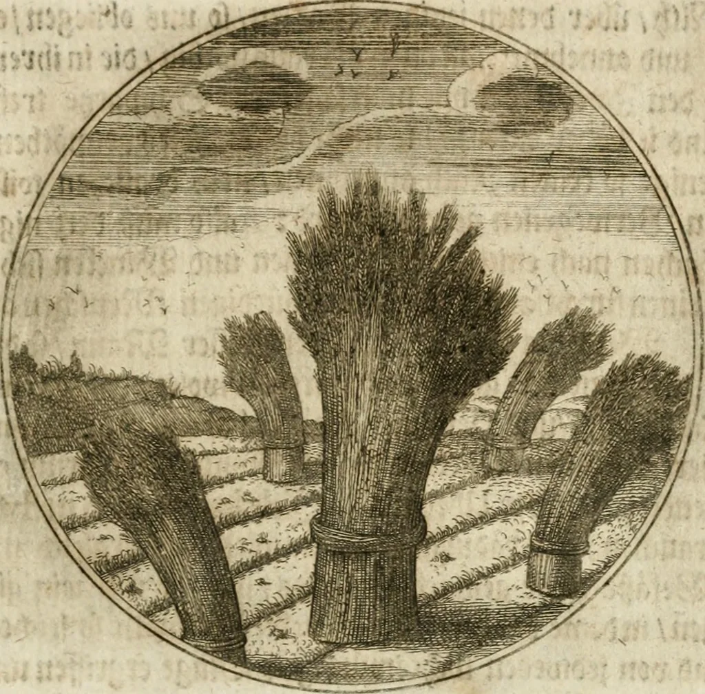 An illustration from Joannes de Boria Moralische Sinn-Bilder, 1698, leaf 96