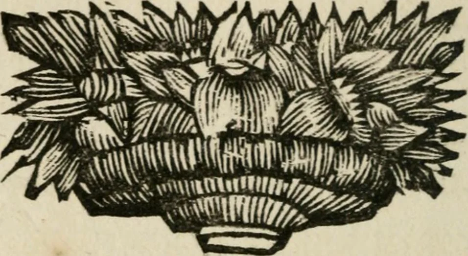 An illustration from Joannes Michaelis von der Ketten ... Apelles symbolicus, 1699, leaf 483