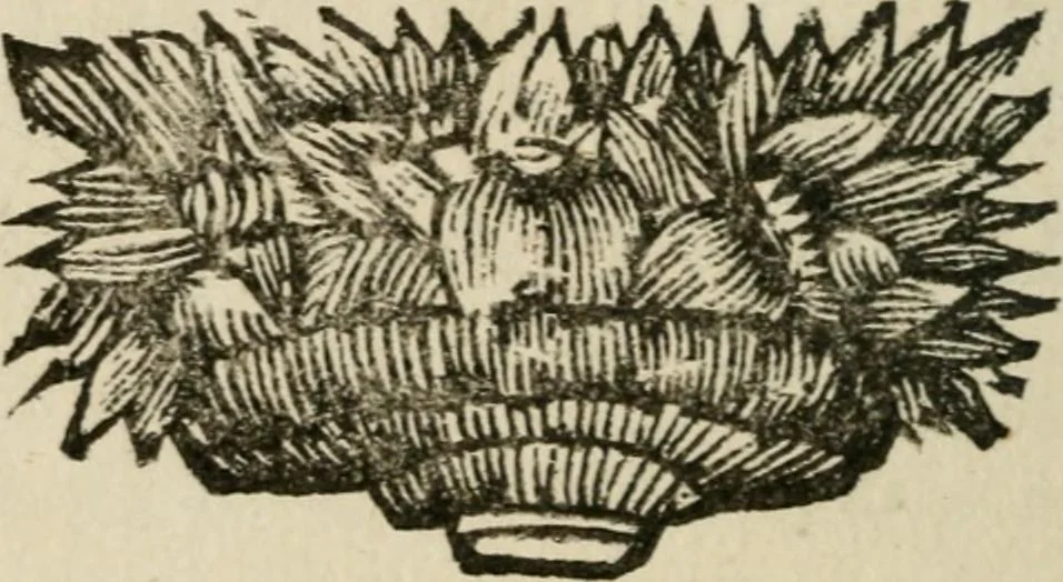 An illustration from Joannes Michaelis von der Ketten ... Apelles symbolicus, 1699, leaf 577