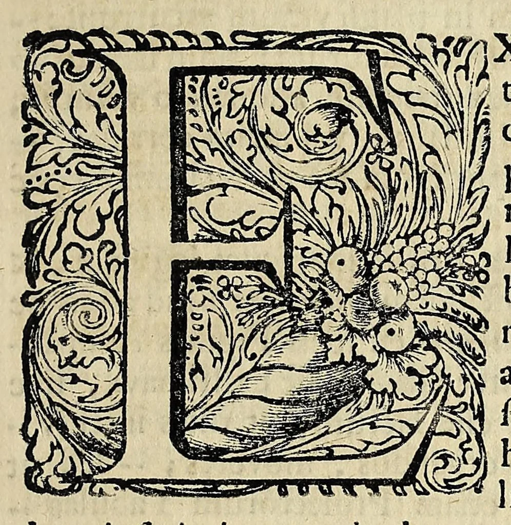 An illustration from Joannis Baptistae Morgagni Foroliviensis ... Adversaria anatomica omnia : novis pluribus aereis tabulis, & universali accuratissimo indice ornata : opus nunc vere absolutum, inventis, & innumeris observationibus, ac monitis refertum, quibus universa humani corporis anatome, & subinde etiam quae ab hac pendent, res medica, & chirurgica admodum illustrantur .., 1741, leaf 117