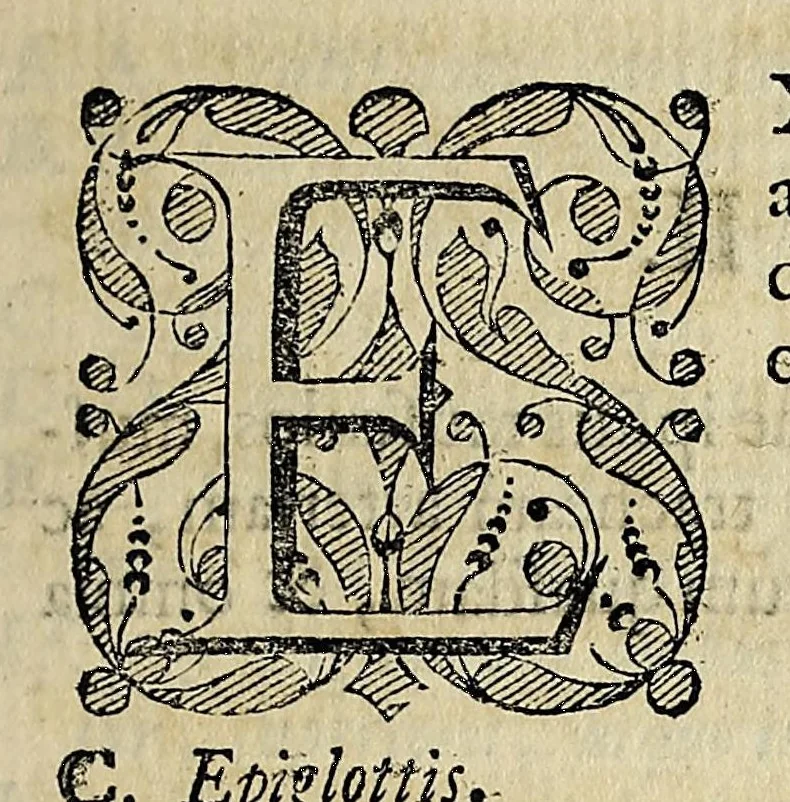 An illustration from Joannis Baptistae Morgagni Foroliviensis ... Adversaria anatomica omnia : novis pluribus aereis tabulis, & universali accuratissimo indice ornata : opus nunc vere absolutum, inventis, & innumeris observationibus, ac monitis refertum, quibus universa humani corporis anatome, & subinde etiam quae ab hac pendent, res medica, & chirurgica admodum illustrantur .., 1741, leaf 95
