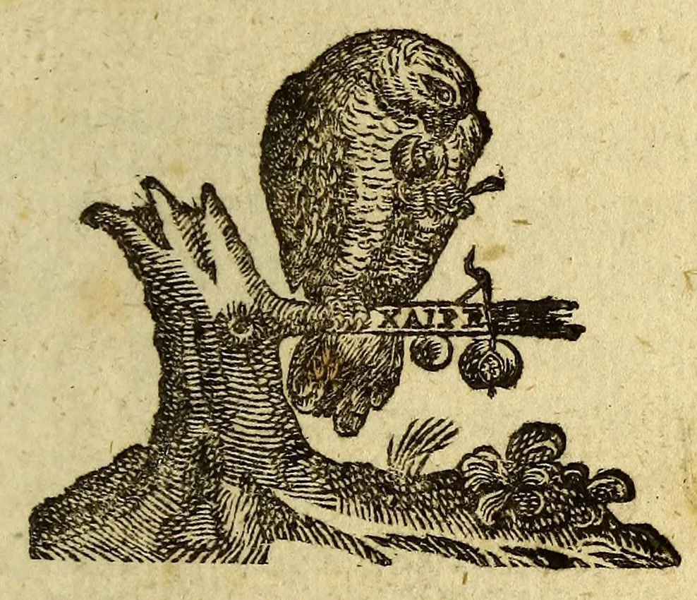 An illustration from Joannis Bisselii, è Societate Jesu, Argonauticon Americanorum, sive, historiæ periculorum Petri de Victoria, ac Sociorum eius, libri XV, 1647, leaf 11
