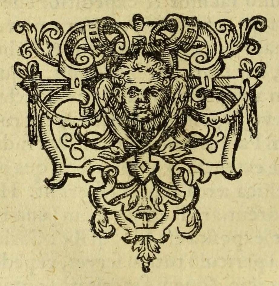 An illustration from Joannis Boteri Benesii amphitheatridion. : Hoc est, parvum amphitheatrum, cui pauca mundi theatra comparare vix ullum anteponere amphiteatrum possis. In quo (velut in speculo) cuncti præpotentes orbis monarchæ, principesq[ue], opibus viribusq[ue] pollentes, cum uniuscuiusq[ue] censu, potentia, regendi forma, principibusq[ue] finitimis spectabiles ob oculos philolagorum repræsentantur in quatuor partes divisum ..., 1600, leaf 34