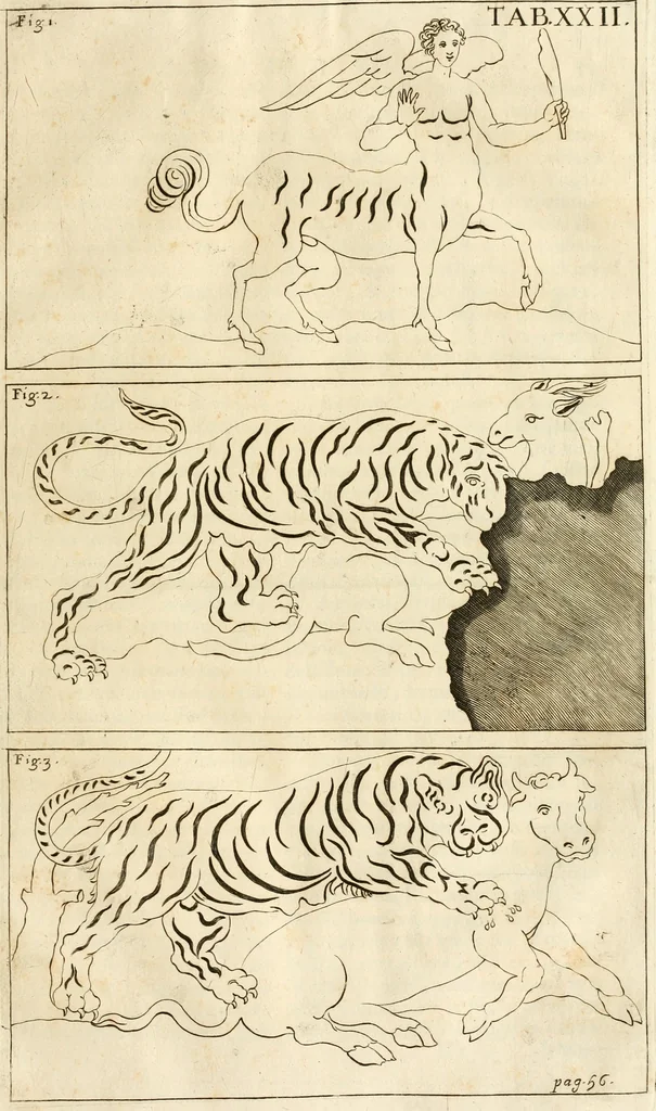 An illustration from Joannis Ciampini Romani, magistri brevium gratiae ... Opera, in tres tomos distributa : acesserunt eiusdem Ciampini opuscula quaedam selectiora : item appendix, seu notae, in quibus nonnulla post eius obitum innovata recensentur : ac demum auctoris vita, nunc primùm ipsius operibus addita, 1747, leaf 144