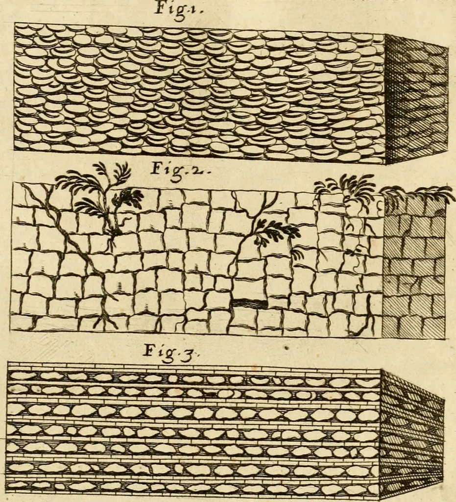 An illustration from Joannis Ciampini Romani, magistri brevium gratiae ... Opera, in tres tomos distributa : acesserunt eiusdem Ciampini opuscula quaedam selectiora : item appendix, seu notae, in quibus nonnulla post eius obitum innovata recensentur : ac demum auctoris vita, nunc primùm ipsius operibus addita, 1747, leaf 169