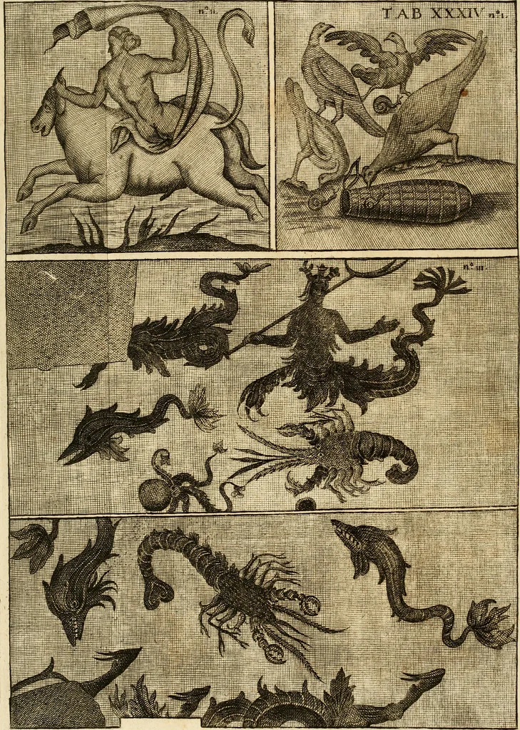 An illustration from Joannis Ciampini Romani, magistri brevium gratiae ... Opera, in tres tomos distributa : acesserunt eiusdem Ciampini opuscula quaedam selectiora : item appendix, seu notae, in quibus nonnulla post eius obitum innovata recensentur : ac demum auctoris vita, nunc primùm ipsius operibus addita, 1747, leaf 195