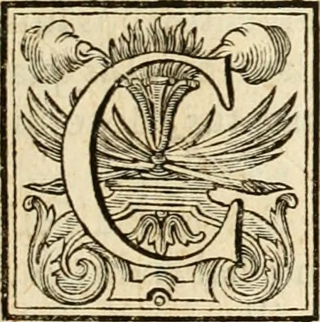 An illustration from Joannis Ciampini Romani, magistri brevium gratiae ... Opera, in tres tomos distributa : acesserunt eiusdem Ciampini opuscula quaedam selectiora : item appendix, seu notae, in quibus nonnulla post eius obitum innovata recensentur : ac demum auctoris vita, nunc primùm ipsius operibus addita, 1747, leaf 44