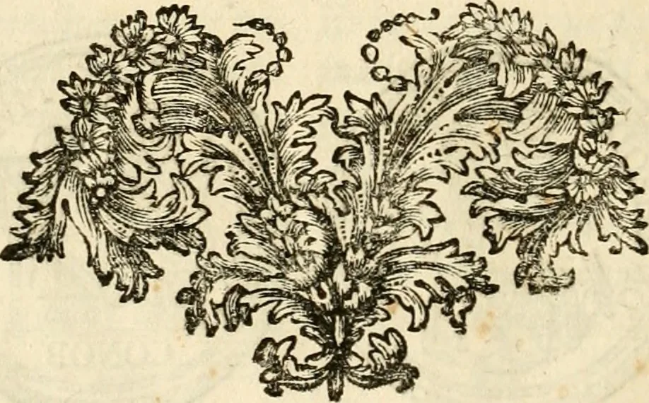 An illustration from Joannis Ciampini Romani, magistri brevium gratiae ... Opera, in tres tomos distributa : acesserunt eiusdem Ciampini opuscula quaedam selectiora : item appendix, seu notae, in quibus nonnulla post eius obitum innovata recensentur : ac demum auctoris vita, nunc primùm ipsius operibus addita, 1747, leaf 473