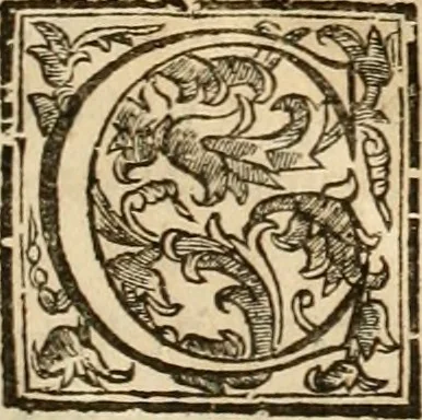 An illustration from Joannis Ciampini Romani, magistri brevium gratiae ... Opera, in tres tomos distributa : acesserunt eiusdem Ciampini opuscula quaedam selectiora : item appendix, seu notae, in quibus nonnulla post eius obitum innovata recensentur : ac demum auctoris vita, nunc primùm ipsius operibus addita, 1747, leaf 22