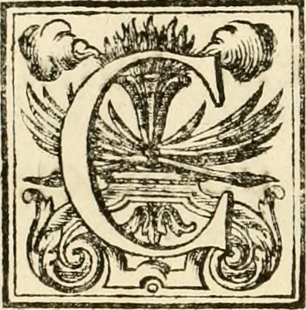 An illustration from Joannis Ciampini Romani, magistri brevium gratiae ... Opera, in tres tomos distributa : acesserunt eiusdem Ciampini opuscula quaedam selectiora : item appendix, seu notae, in quibus nonnulla post eius obitum innovata recensentur : ac demum auctoris vita, nunc primùm ipsius operibus addita, 1747, leaf 345