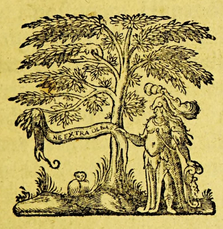 An illustration from Joannis de Laet Antwerpiani Notæ ad dissertationem Hugonis Grotii De origine gentium Americanarum : et observationes aliquot ad meliorem indaginem difficillimæ illius quæqstionis, 1643, leaf 7
