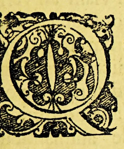 An illustration from Joannis de Laet Antwerpiani Notæ ad dissertationem Hugonis Grotii De origine gentium Americanarum : et observationes aliquot ad meliorem indaginem difficillimæ illius quæqstionis, 1643, leaf 9