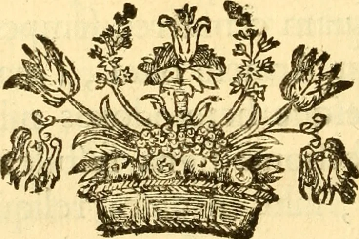 An illustration from Joannis Harduini Soc. Jesu presbyteri Nummi antiqui populorum et urbium illustrati, 1684, leaf 727