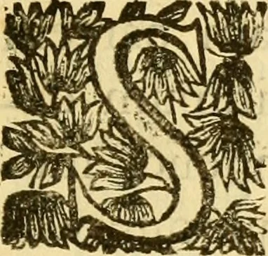 An illustration from Joannis Harduini Soc. Jesu presbyteri Nummi antiqui populorum et urbium illustrati, 1684, leaf 728