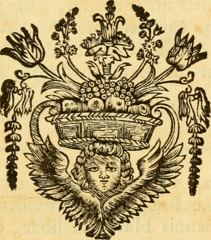 An illustration from Joannis Harduini Soc. Jesu presbyteri Nummi antiqui populorum et urbium illustrati, 1684, leaf 762