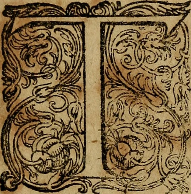 An illustration from Joannis Marianae Hispani, e Societate Jesu, De rege et regis institutione libri III : ad Philippum III Hispaniae regem catholicum. Eiusdem De ponderibus & mensuris liber, 1611, leaf 536