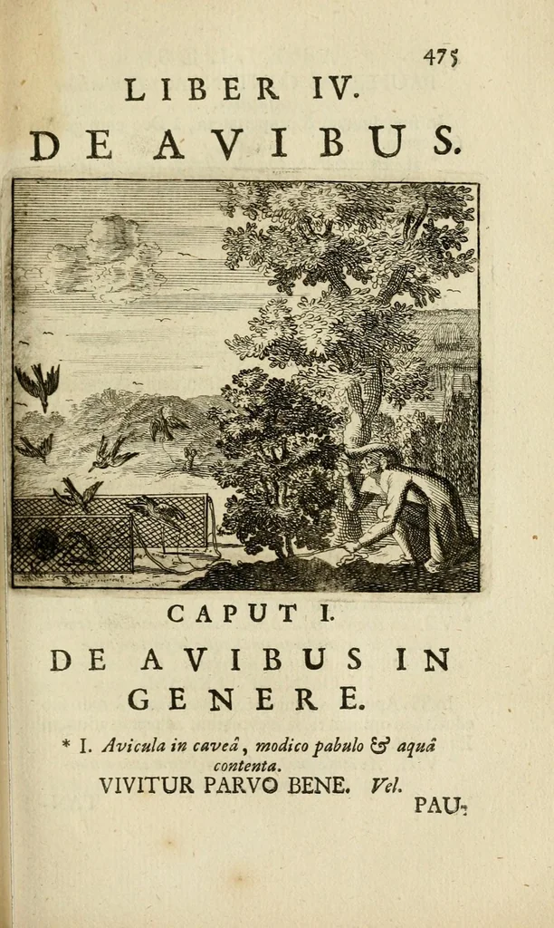 An illustration from Joannes Michaelis von der Ketten Ord. Salv. vulgo S. Birgittae Sacerdotis Apelles symbolicus : exhibens seriem amplissimam symbolorum, poetisque, oratoribus ac verbi Dei praedicatoribus conceptus subministrans varios : duobus voluminibus, 1699, leaf 503