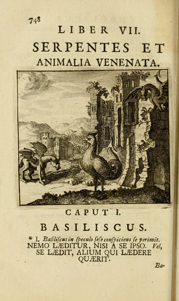 An illustration from Joannes Michaelis von der Ketten Ord. Salv. vulgo S. Birgittae Sacerdotis Apelles symbolicus : exhibens seriem amplissimam symbolorum, poetisque, oratoribus ac verbi Dei praedicatoribus conceptus subministrans varios : duobus voluminibus, 1699, leaf 774