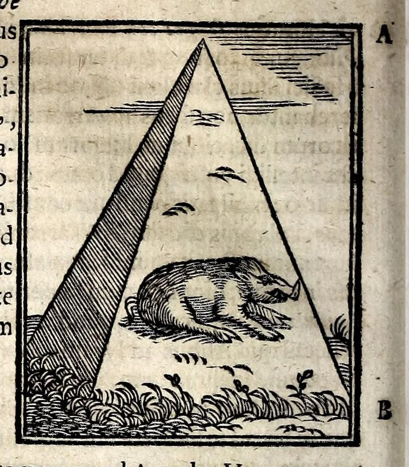 An illustration from Joannis Pierii Valeriani Bellunensis Hieroglyphica, sive, De sacris Aegyptiorum aliarumque gentium literis, commentariorum libri LVIII, duobus aliis ab eruditissimo viro annexis. Accesserunt loco auctarii, Hieroglyphicorum collectanea, ex veteribus & recentioribus auctoribus descripta, & in sex libros ordine alphabetico digesta; item Horapollinis Hieroglyphicorum libri duo ex postrema Davidis Hoeschelii correctione. Praeterea ejusdem Pierii Declamatiuncula pro barbis sacerdotum; De infelicitate literatorum libri duo; denique Antiquitatum Bellunensium sermones quatuor, 1678, leaf 176