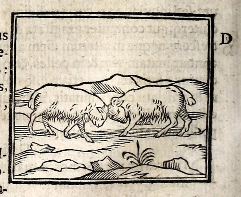 An illustration from Joannis Pierii Valeriani Bellunensis Hieroglyphica, sive, De sacris Aegyptiorum aliarumque gentium literis, commentariorum libri LVIII, duobus aliis ab eruditissimo viro annexis. Accesserunt loco auctarii, Hieroglyphicorum collectanea, ex veteribus & recentioribus auctoribus descripta, & in sex libros ordine alphabetico digesta; item Horapollinis Hieroglyphicorum libri duo ex postrema Davidis Hoeschelii correctione. Praeterea ejusdem Pierii Declamatiuncula pro barbis sacerdotum; De infelicitate literatorum libri duo; denique Antiquitatum Bellunensium sermones quatuor, 1678, leaf 196