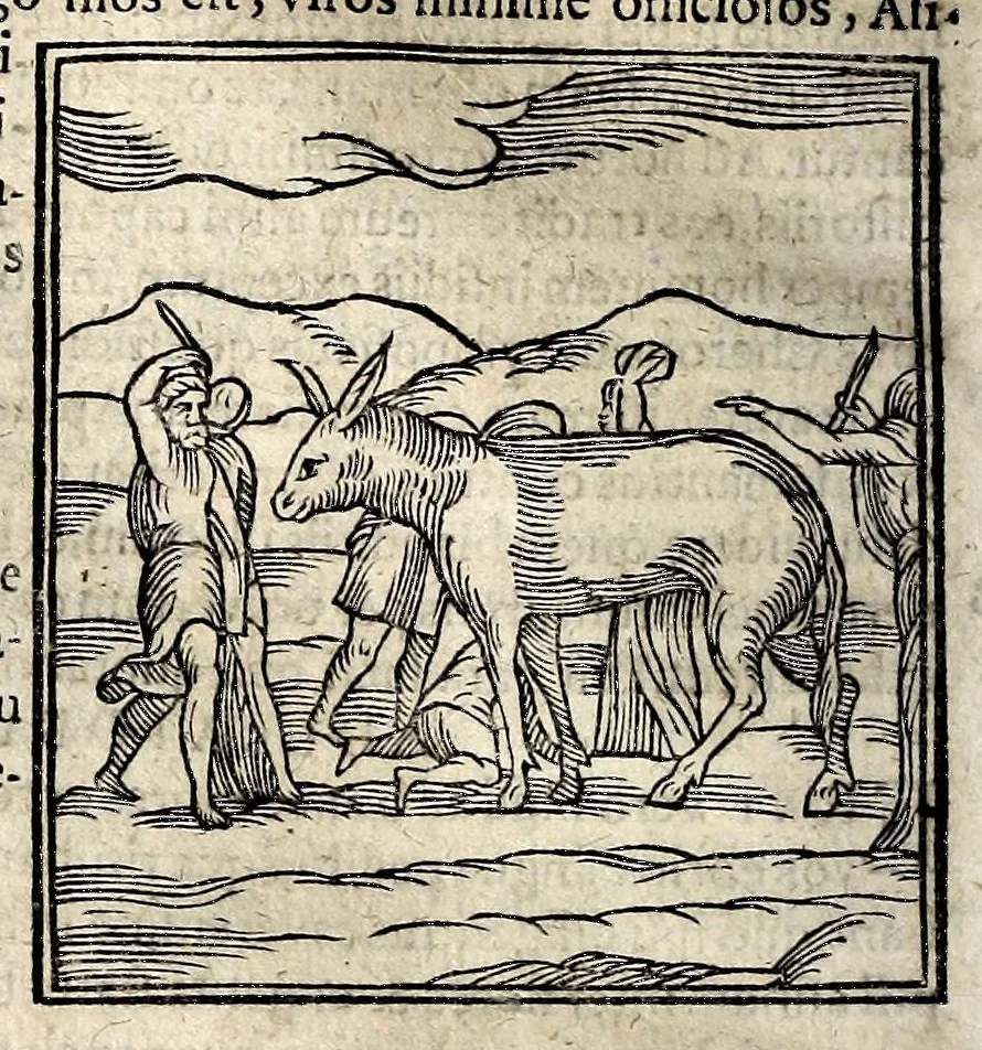 An illustration from Joannis Pierii Valeriani Bellunensis Hieroglyphica, sive, De sacris Aegyptiorum aliarumque gentium literis, commentariorum libri LVIII, duobus aliis ab eruditissimo viro annexis. Accesserunt loco auctarii, Hieroglyphicorum collectanea, ex veteribus & recentioribus auctoribus descripta, & in sex libros ordine alphabetico digesta; item Horapollinis Hieroglyphicorum libri duo ex postrema Davidis Hoeschelii correctione. Praeterea ejusdem Pierii Declamatiuncula pro barbis sacerdotum; De infelicitate literatorum libri duo; denique Antiquitatum Bellunensium sermones quatuor, 1678, leaf 218